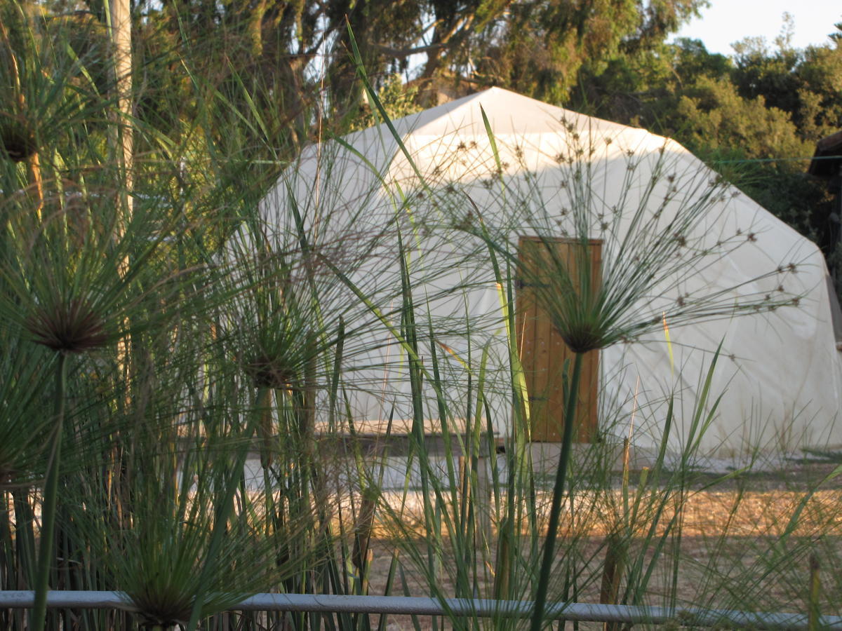 Yarok Az - Ecolodge Farm Ilaniya Zimmer foto