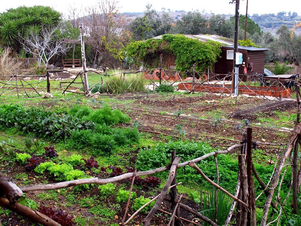 Yarok Az - Ecolodge Farm Ilaniya Exterior foto
